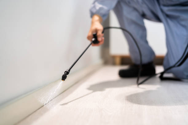 Licensed Termite Control service in Metairie, LA - Nex Pest Control