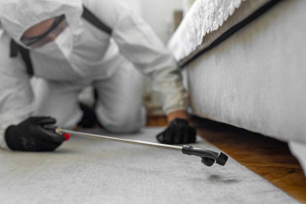 Professional Termite Control technician working in Metairie, LA