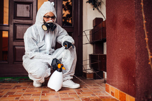 Reliable Termite Control contractor in Metairie, LA by Nex Pest Control