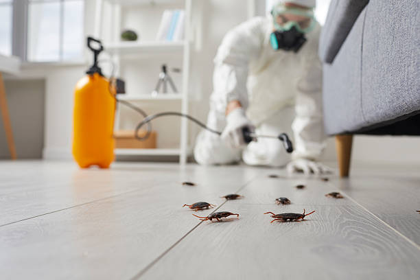 Trusted Mosquito Control service in Metairie, LA - Nex Pest Control