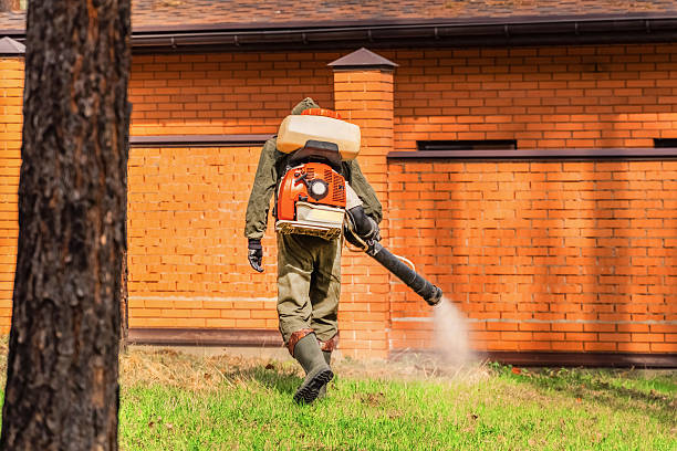 Trusted Cockroach Control service in Metairie, LA - Nex Pest Control